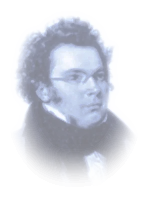 Portrait de Franz Schubert, en clair de lune